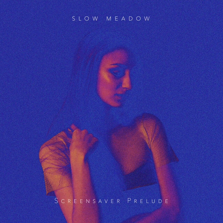Screensaver Prelude | Slow Meadow