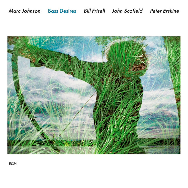 Black Is The Color Of My True Love's Hair | Marc Johnson