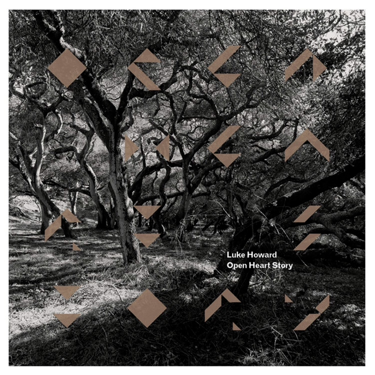 Bear Story II | Luke Howard