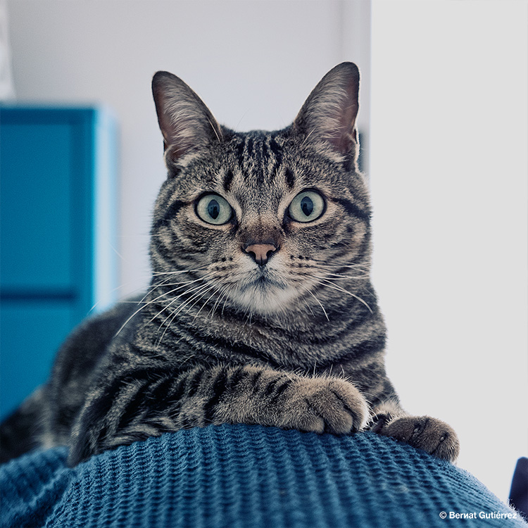 Con ellos los días de lluvia se disfrutan mucho más...