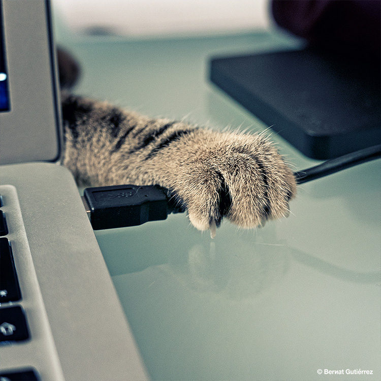 Baloo en plan cabroncete...