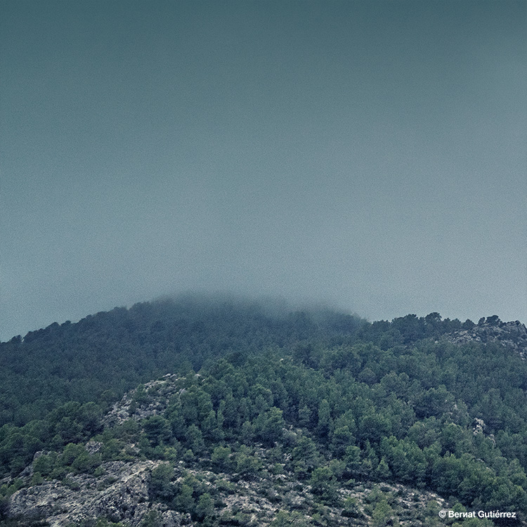 Este año el otoño ha sido madrugador...