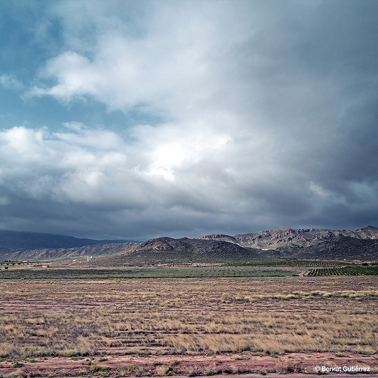 Pues eso... paisaje austero...