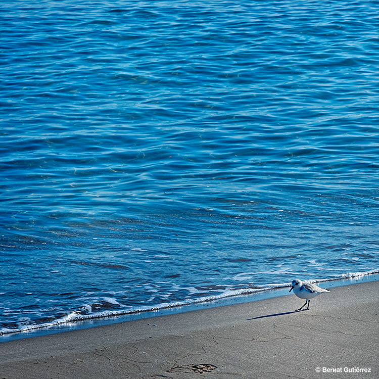 Alegoría de mi facilidad para quedarme absorto en mis pensamientos...
