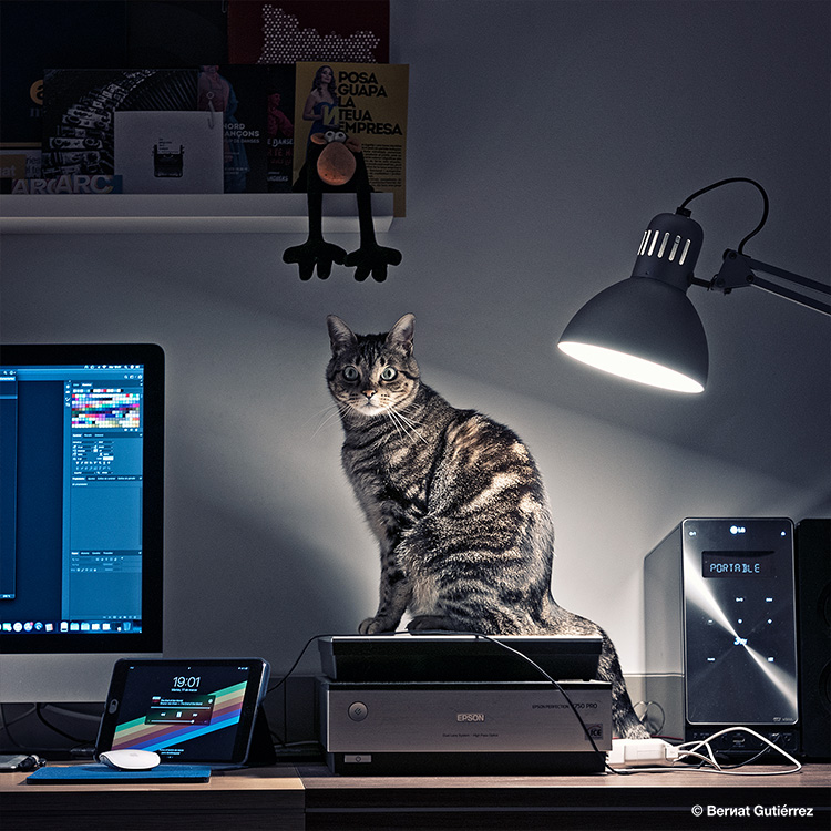 Ellos se preguntarán ¿qué hacen estos dos metidos en casa todo el puto día...?