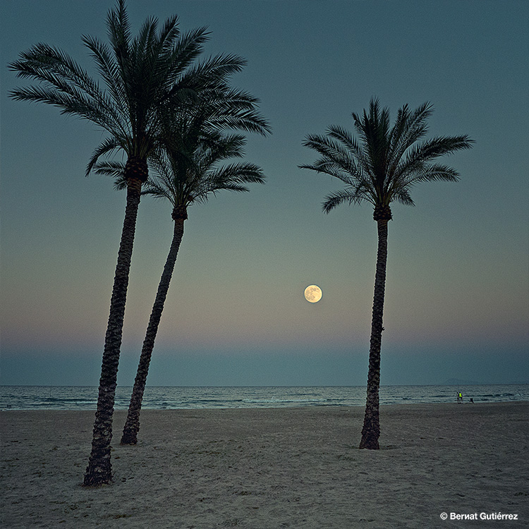 Hay una normalidad a la que quiero volver, la que me permite fotografiar simples momentos como éste que tanto me llenan con tan poco… Hay otra ‘normalidad’ a la que no quiero volver, la de la distopía en la que llevamos inmersos tantos años y que nos ha hecho ver como ‘normal’ aquello que está patas arriba...