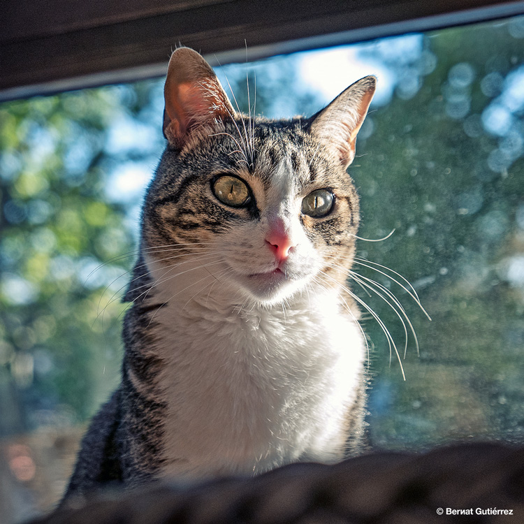 Luz de media tarde...