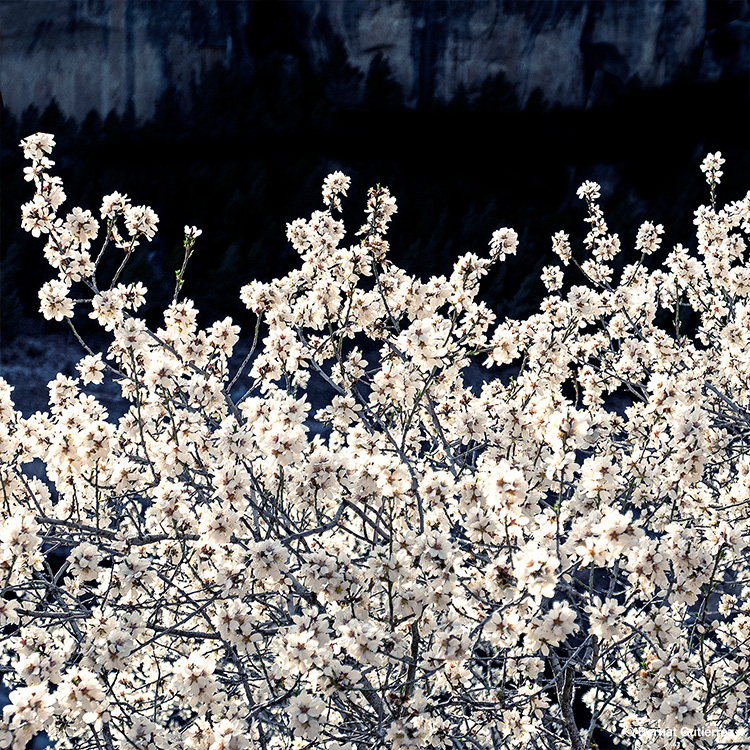 Y la primavera estalló...