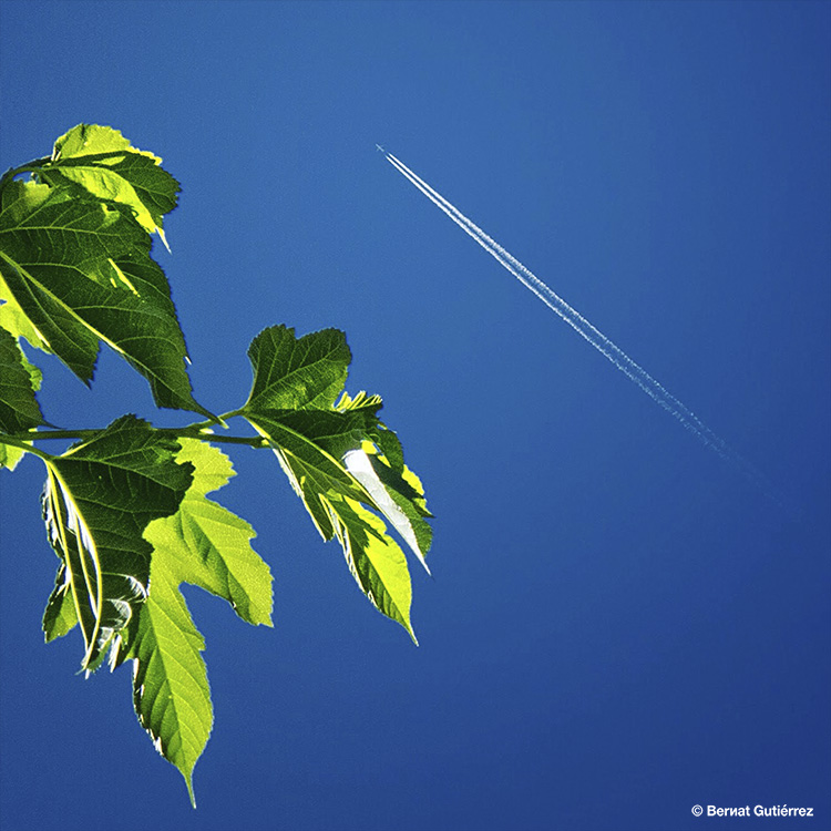 Se acerca el tiempo de las siestas mirando al cielo...