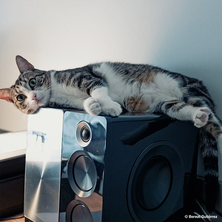 Bimba perreando en el estudio...