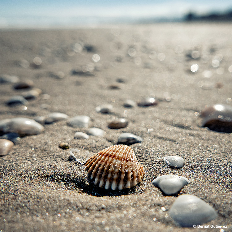 Cosas que te pierdes con los ojos puestos en la pantalla...